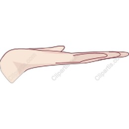Elegant Hand