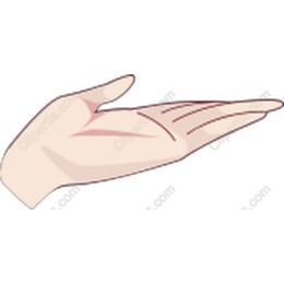 Elegant Open Hand
