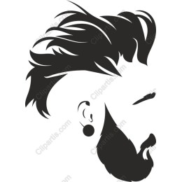 Stylized Male - Bearded Man