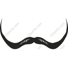 Classic Mustache