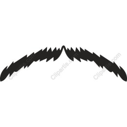 Bold Stylized Mustache