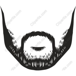 Stylish Beard