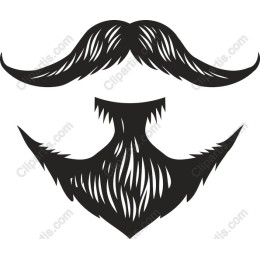 Stylish Beard and Mustache