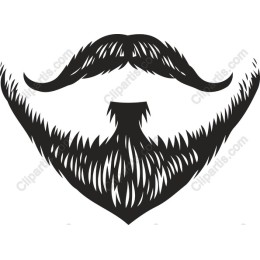 Stylish Beard