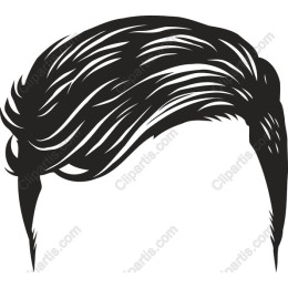 Modern Black and White Hairstyle