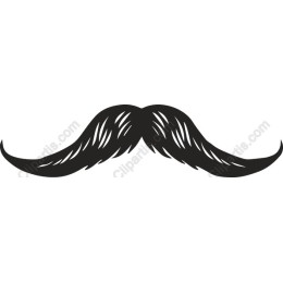 Classic Mustache