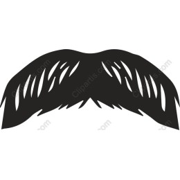 Stylish Mustache