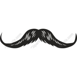 Classic Mustache