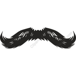Whimsical Classic Mustache