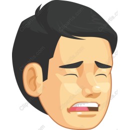 Expressive Emotion Character