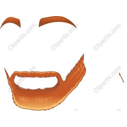 Stylish Beard