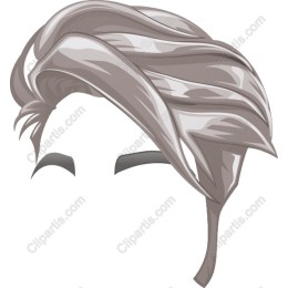 Stylish Silver Hairstyle