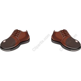 Elegant Brown Dress Shoes