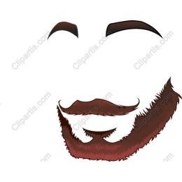 Stylish Beard and Mustache