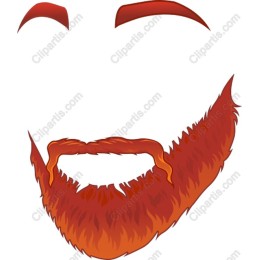 Fiery Orange Beard