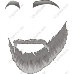 Stylish Beard