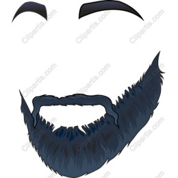 Stylish Beard