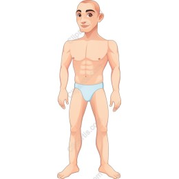 Cartoon Male Figure - Athletic