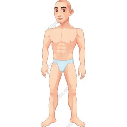 Stylized Male Fitness