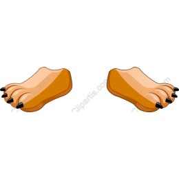 Charming Animal Paws