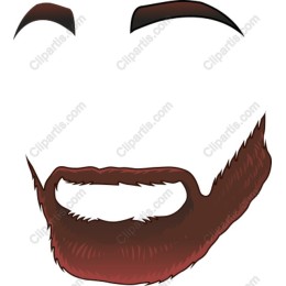 Stylized Beard