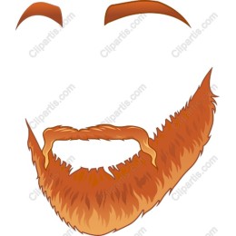 Orange Beard