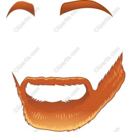 Stylish Beard