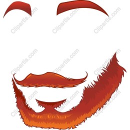 Rustic Beard & Moustache
