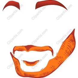 Stylized Orange Face