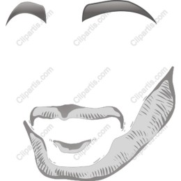 Stylized Face with Beard and Eyebrows
