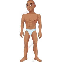 Stylized Muscular Male Character