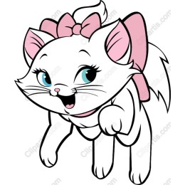 Adorable White Kitten