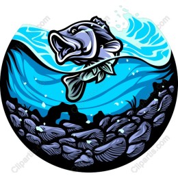 Leaping Bass Fish
