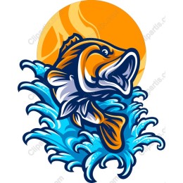Vibrant Bass