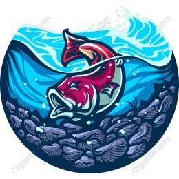 Colorful Fish Swimming