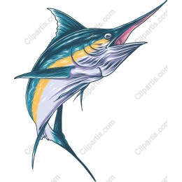 Vibrant Marlin
