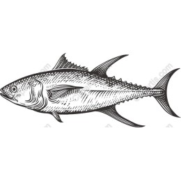 Classic Fish