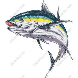 Vibrant Tuna Fish