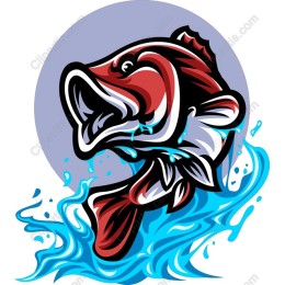 Vibrant Fish