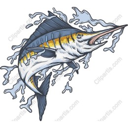 Majestic Marlin