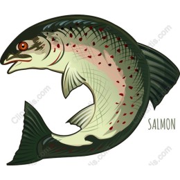 Vibrant Salmon