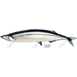 Saury