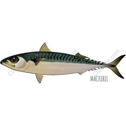 Mackerel