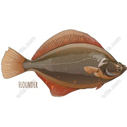 Flounder