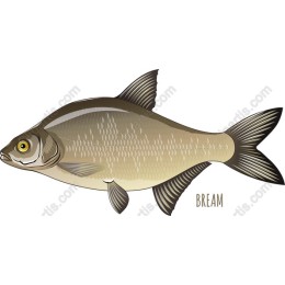Bream