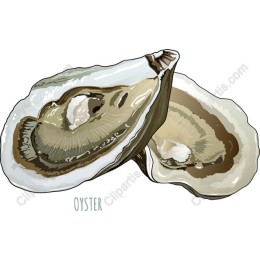 Fresh Oyster