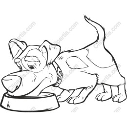 Adorable Dog Eating