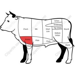 Brisket Cuts