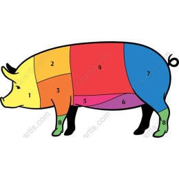 Colorful Educational Pig Cuts
