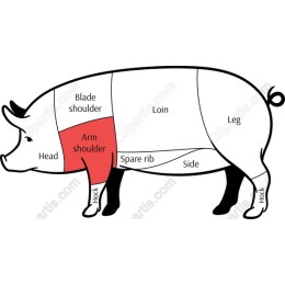 Pig Anatomy - Educational Meat Cuts Diagram